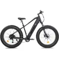 Insera e-Muffle 26' 9v fatbike sähköpyörä