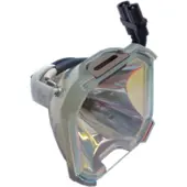 Infocus LP810 alkuperäinen lamppu ilman moduulia