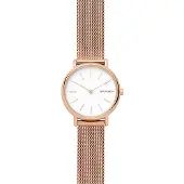 Skagen Signatur Slim SKW2694