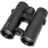 Braun Compagno 8x42 Wp Kiikarit