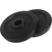 Tunturi Painolevy 2.5kg