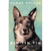 Rin Tin Tin