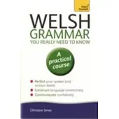 Welsh Grammar You Really Need to Know: Teach Yourself