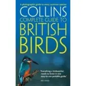 British Birds