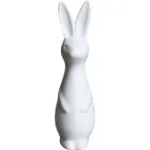 DBKD Swedish rabbit large White