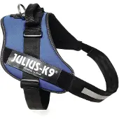 Julius-K9 Idc Power Koiran Valjaat