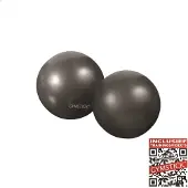 Gymstick Painopallot 2 x 1kg
