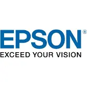 Epson Ink DS High Density Black