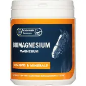 Ginza.se 400 g biomagnesium