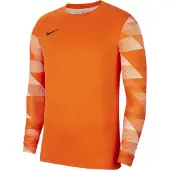 Nike Toiminnallinen paita 'Park IV' oranssi / vaaleanoranssi / musta / valkoinen