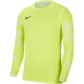 Nike Toiminnallinen paita 'Park IV' kiivi / musta