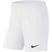 Nike Dri Fit Park 3 Knit Shortsit