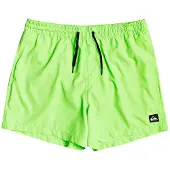 Quiksilver Everyday Volley 15 Surffishortsit green gecko Koko L