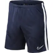 Nike Dry Academy 19 Shortsit