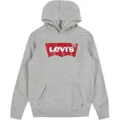 Levi's Kids Batwing Screenprint Hooded Pullover - Grey - 104