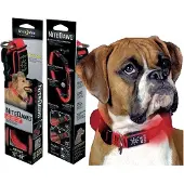 Nite Ize Nite Dawg Collar - Red (Size: Small)