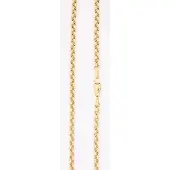 None Papukaulaketju 3.2mm 14k kulta PAPU3.2/50