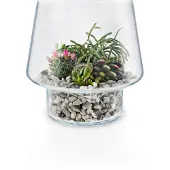 Eva Solo - Lasimaljakko mehikasveille 21 cm
