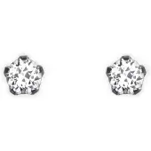 Tammi Jewellery S4460 Puro korvakorut