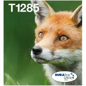 Epson Fox T128 Kettu DURABrite Ultra, moniväripakkaus, 4 väriä, EasyMail, Musta, Syaani, Magenta, Keltainen, 5,9 ml, 3,5 ml, 1 kpl, Monipakkaus (C13T12854511)