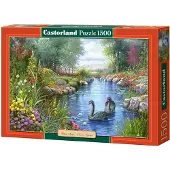 Castorland Andres Orpinas : Black Swans 1500p palapeli