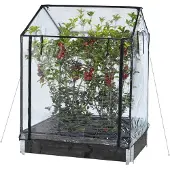 No Brand PIENOISKASVIHUONE HORTUS KORKEA 115X76X110/130CM