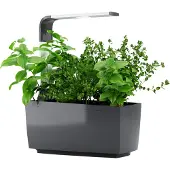 Tregren Kitchen Garden T6 Harmaa