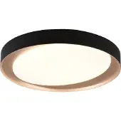 TRIO Zeta LED kattovalaisin 24W 48,5cm musta/kulta starlight