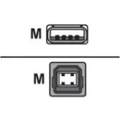 Zebra – USB cable, 10ft (A to B) (G105850-007)