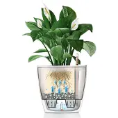 Lechuza plantekasse Classico 28 LS ALL-IN-ONE højglans hvid 16040