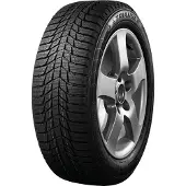 Triangle 205/50R17 93R SnowLink PL01 XL rim protect Kitka