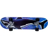 Sandbar Rullalauta Shark 31x8"