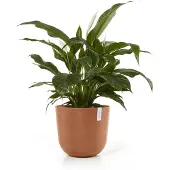 Ecopot's Oslo ruukku