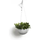 Ecopot's Brysseli ripustettava ruukku