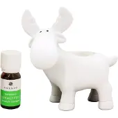 Emendo Saunaporo + eukalyptus 10 ml saunakoriste
