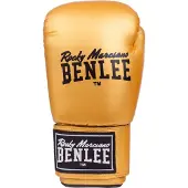 Benlee Rodney Taisteluhanskat