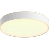 Philips Hue Enrave-kattovalaisin Suuri