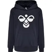 Hummel Hmlcuatro Hoodie - Black - 116