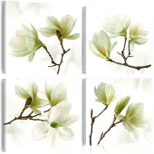 Artgeist Admiration Of Magnolia taulusetti