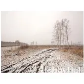 Artgeist Winter field fototapetti