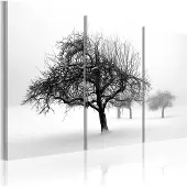 Artgeist Trees Submerged In White taulusetti
