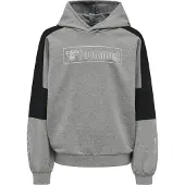 Hummel Hmlboxline Hoodie - Grey - 122