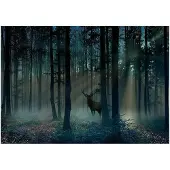 Kärkkäinen Artgeist Mystical Forest - Third Variant fototapetti