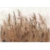 Kärkkäinen Artgeist Tall Grasses - Brown itseliimautuva fototapetti