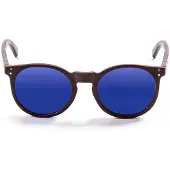 Ocean Sunglasses Lizard Wood Polarisoidut Aurinkolasit