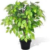 vidaXL Tekokasvi Bonsaifiikus Ruukussa 60 cm