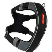 EzyDog Valjaat, X-Link - Eri kokoja, Musta / S (6-10kg)