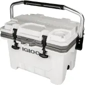 Igloo Coolers Imx 24 22l Jäykkä Kannettava Kylmälaukku