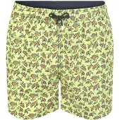 Hackett Sea Turtles Uimashortsit