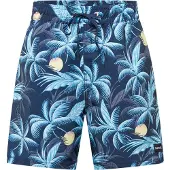 Hurley Surffishortsit